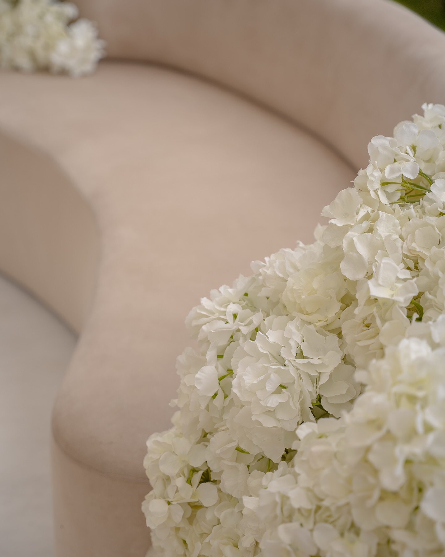 Fleurs blanches sur un fauteuil ivoire
